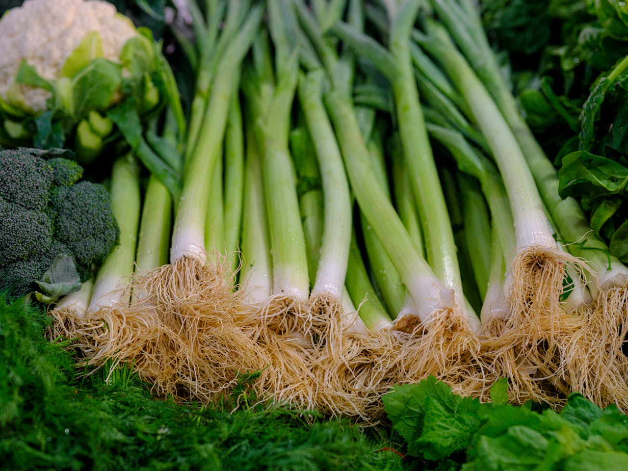 Close-up of a Variety of Green Vegetables