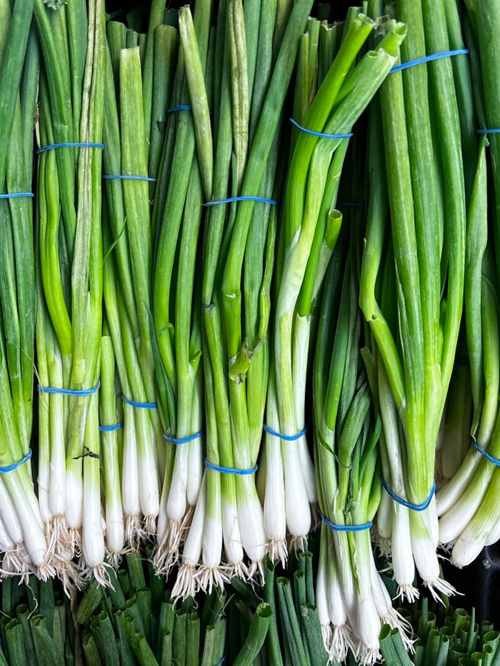 Close-up of a Pile of Green Onion Bunches